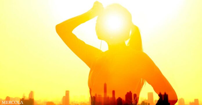 How to Cool Your Body Down During a Hot Summer Day