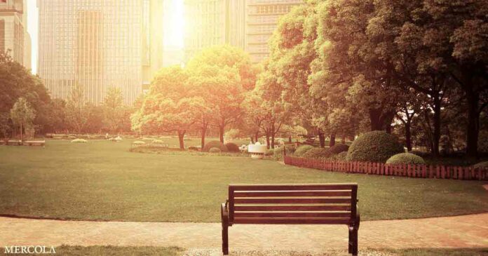 Green Spaces in Midlife Tied to Slower Cognitive Decline