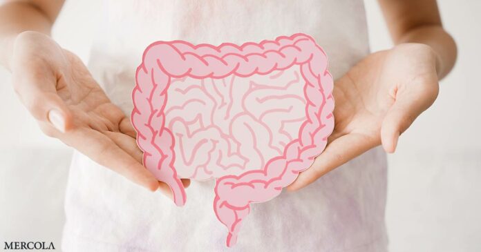 Antibiotics Increase Bowel Cancer Rates