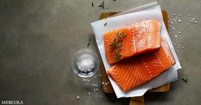 Plastic Fish on Your Plate
