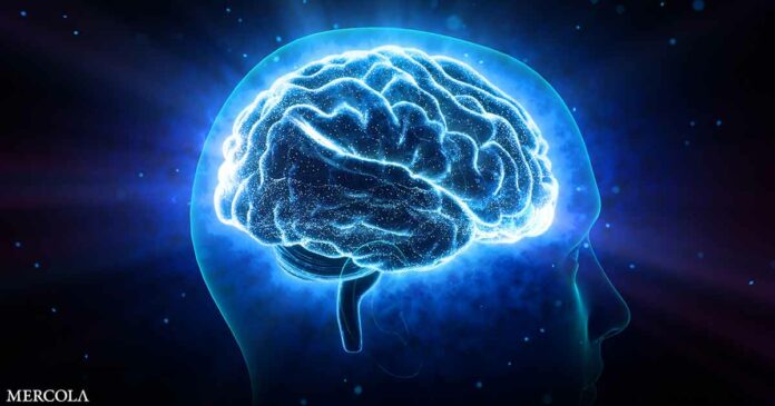 Study Finds Link Between Brain Energy Production and Your Psychosocial Experience