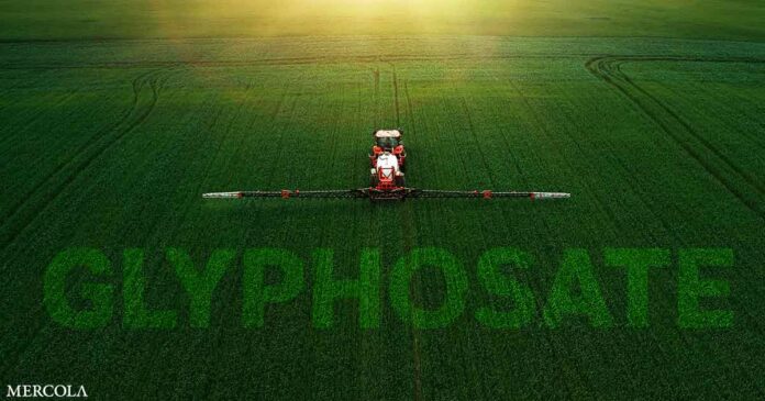 Poisoned Fields — Glyphosate, the Underrated Risk?