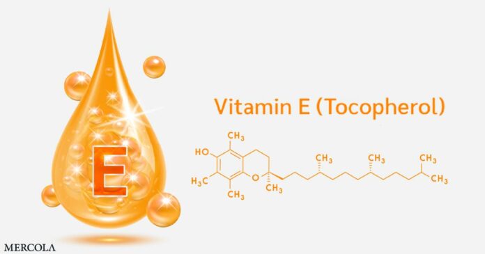 Vitamin E Reverses Atherogenesis and Protects Against Endotoxin-Induced Damage