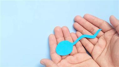 impact of lifestyle factors on male fertility