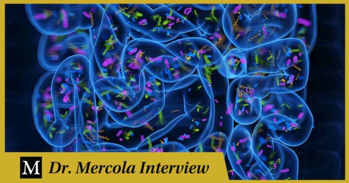 Unlocking the Secrets of Gut Health