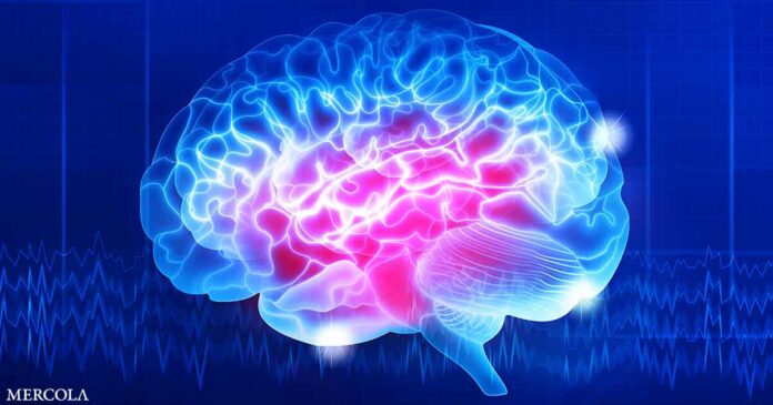 Glyphosate’s Hidden Threat to Your Brain Health