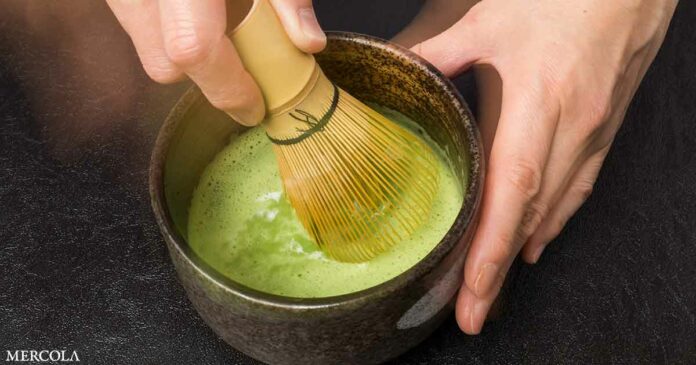Exploring the Whole-Body Benefits of Matcha