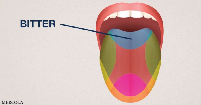 Could Bitter Taste Receptors Pave the Way for Personalized Medicine?