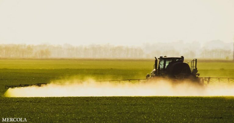 Understanding Glyphosate's Growing Presence in Agriculture and Its Effects on Human Health