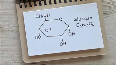 glucose mitochondria