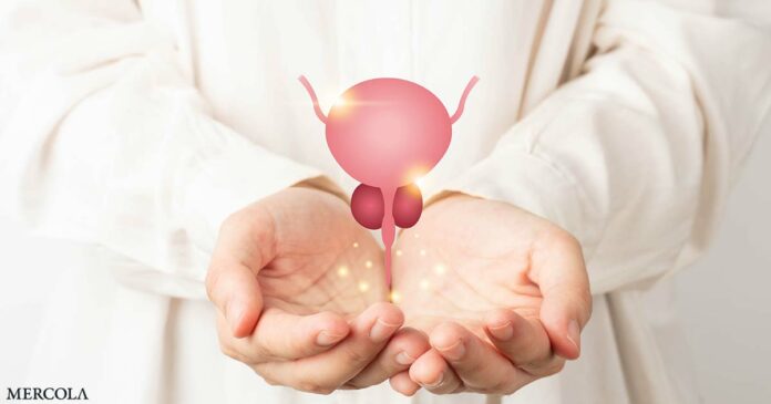 Metabolic Syndrome Contributes to Prostate Enlargement in Aging Men
