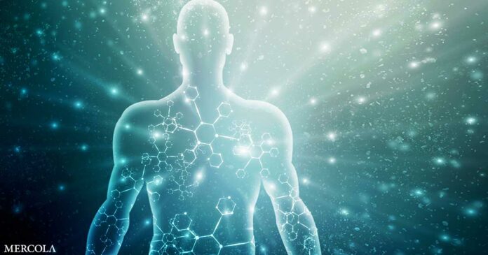 A New Paradigm for Healing — Shifting Focus to Cellular Health