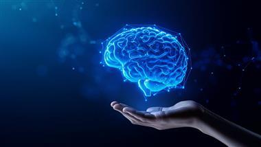 mitochondrial dysfunction neurodegeneration