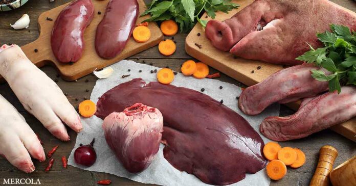 The Forgotten Wisdom of Nose-to-Tail Eating