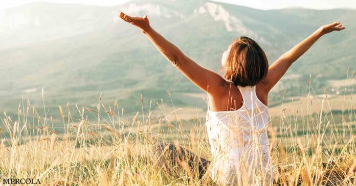 Understanding the Effects of Vitamin D Toxicity