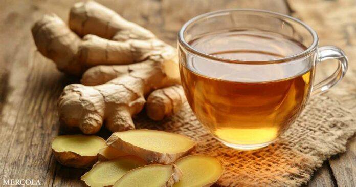 How Ginger Helps Alleviate Inflammatory Bowel Disease