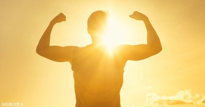 Does Vitamin D Mimic the Effect of Anabolic Steroids?