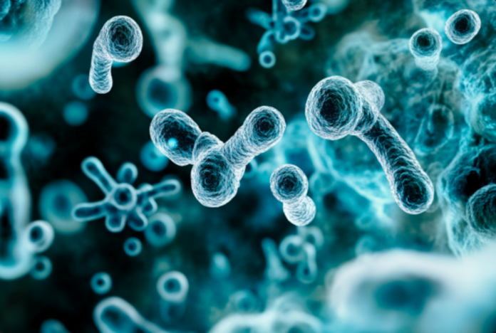 A fungus/mold, Aspergillus Fumigatus, was used in US biowarfare experiments in America