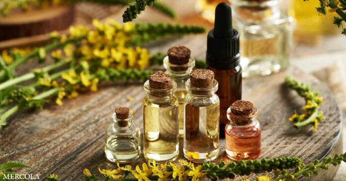 Essential Oils for Arthritis Relief
