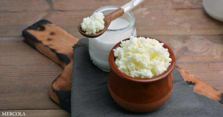 Kefir Improves Memory by 66% in Alzheimer’s Patients