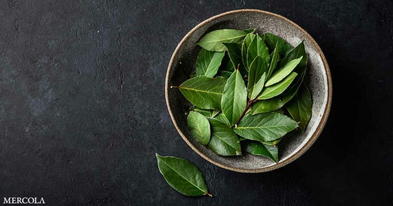 Bay Leaves Help Lower Blood Sugar and Improve Cholesterol Levels