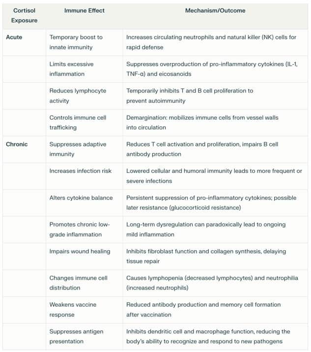 cortisol exposure