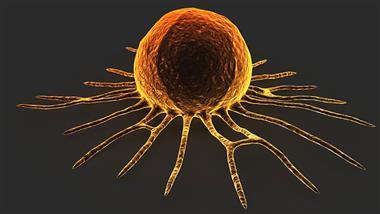 how dmso makes cancer treatments more effective