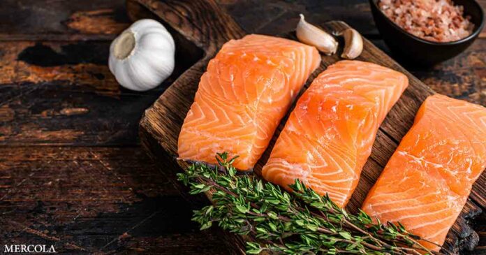 The Omega-3 Paradox — How Much Is Too Much?