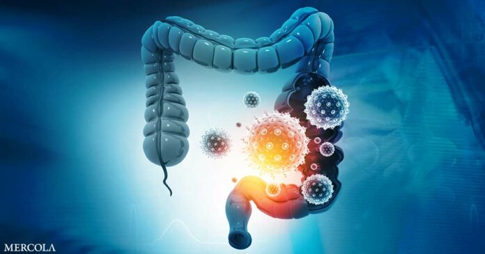 The Science of Probiotics — How Beneficial Bacteria Support Health