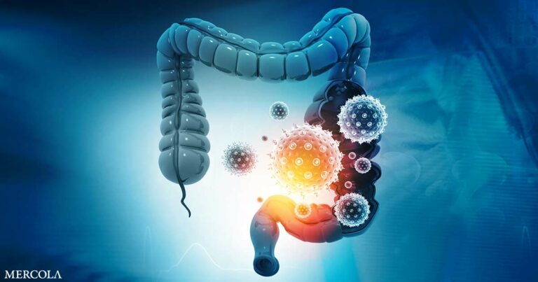 The Science of Probiotics — How Beneficial Bacteria Support Health