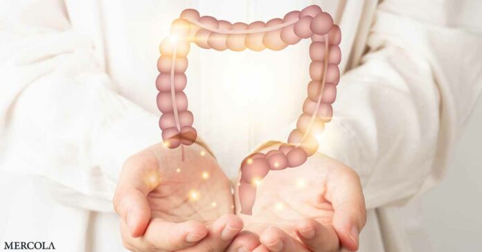 Treating SIBO Holistically Helps Patients Feel Better, New Study Finds