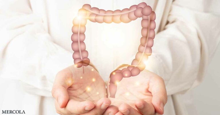 Treating SIBO Holistically Helps Patients Feel Better, New Study Finds