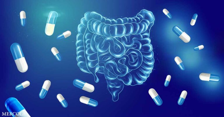 Even Short Periods of Antibiotic Usage Affect Long-Term Gut Health