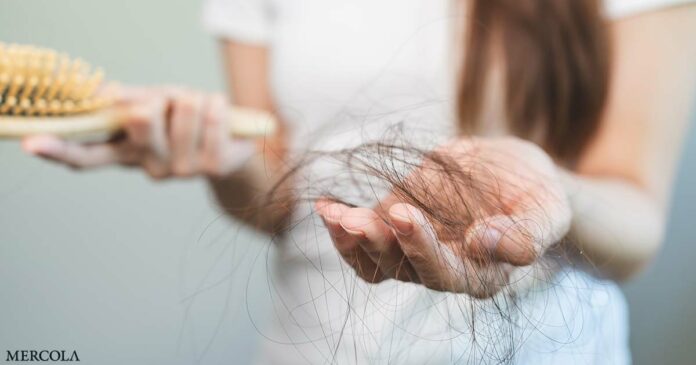 Intermittent Fasting Can Trigger Hair Loss by Flooding Hair Follicles with Harmful Fats