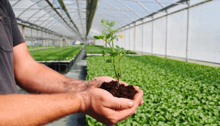 As regenerative agriculture gains momentum, report warns of 'greenwashing'
