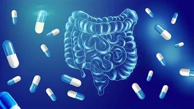 short periods antibiotic usage affect gut health