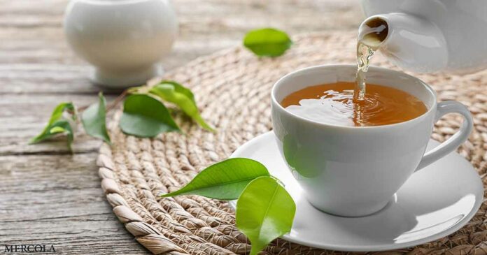 Experts Say the 'Immortality Herb' Could Be More Powerful Than Green Tea