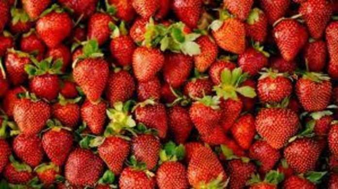 New to the ‘dirty dozen’ list: blackberries and potatoes