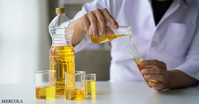 Omega-6 Linoleic Acid in Our Food System
