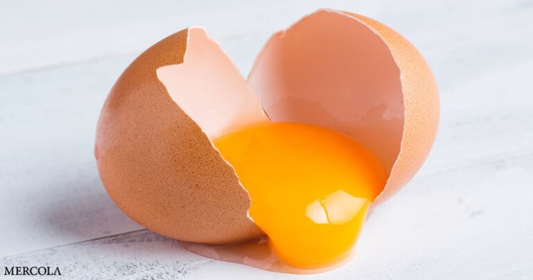 Salmonella Outbreak Prompts Egg Recall in 9 States