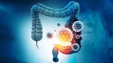 probiotics beneficial bacteria support health