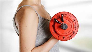 muscle clock circadian rhythm