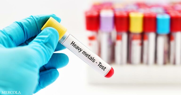 Metal Exposure Linked to Childhood Gut Health