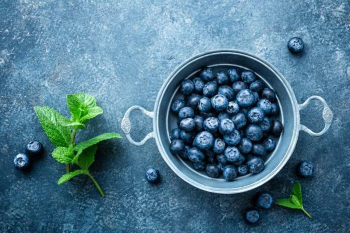 Bilberry: a tiny superfruit with mighty health benefits