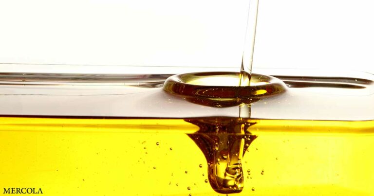 Fed a Lie — The Truth About Seed Oils
