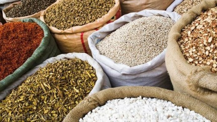 Rice: history, nutrition and how to choose the healthiest varieties